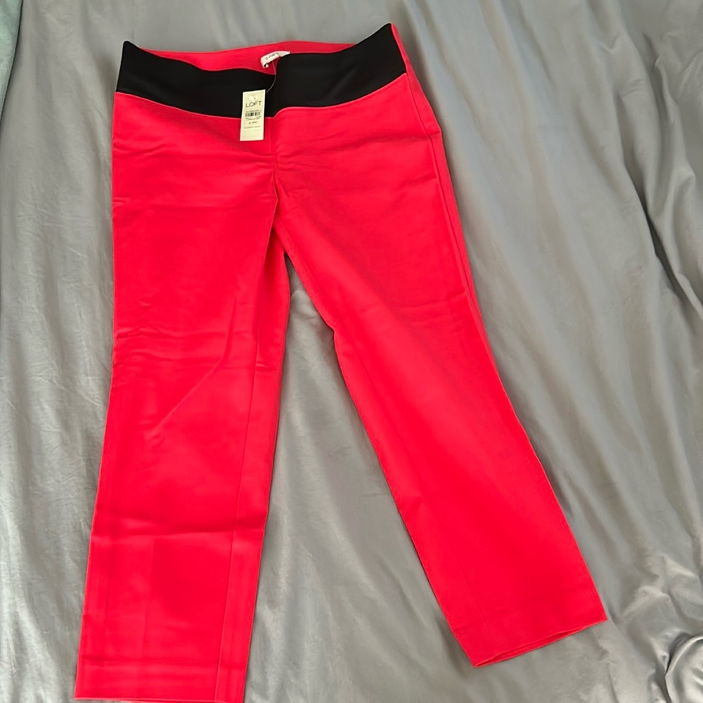 NWT Loft Petite Maternity Pants